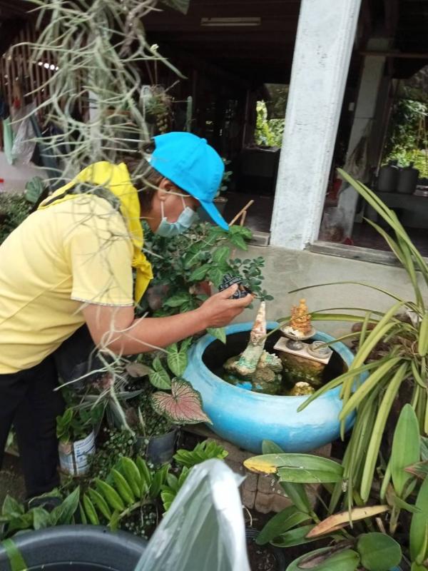 28/7/66 จนท.รพ.สต.บ้านสันป่าไร่ร่วมกับผู้นำชุมชน อสม. ,ประชาชนและชาวต่างชาติในพื้นที่หมู่ที่ 5 บ้านสันป่าไร่ รวมทั้งส่วนราชการในพื้นที่ ( อบต.พระธาตุและตชด.) จัดกิจกรรมจิตอาสา ป้องกันโรคไข้เลือดออก เนื่องในวันเฉลิมพระชนมพรรษา พระบาทสมเด็จพระเจ้าอยู่หัว รั