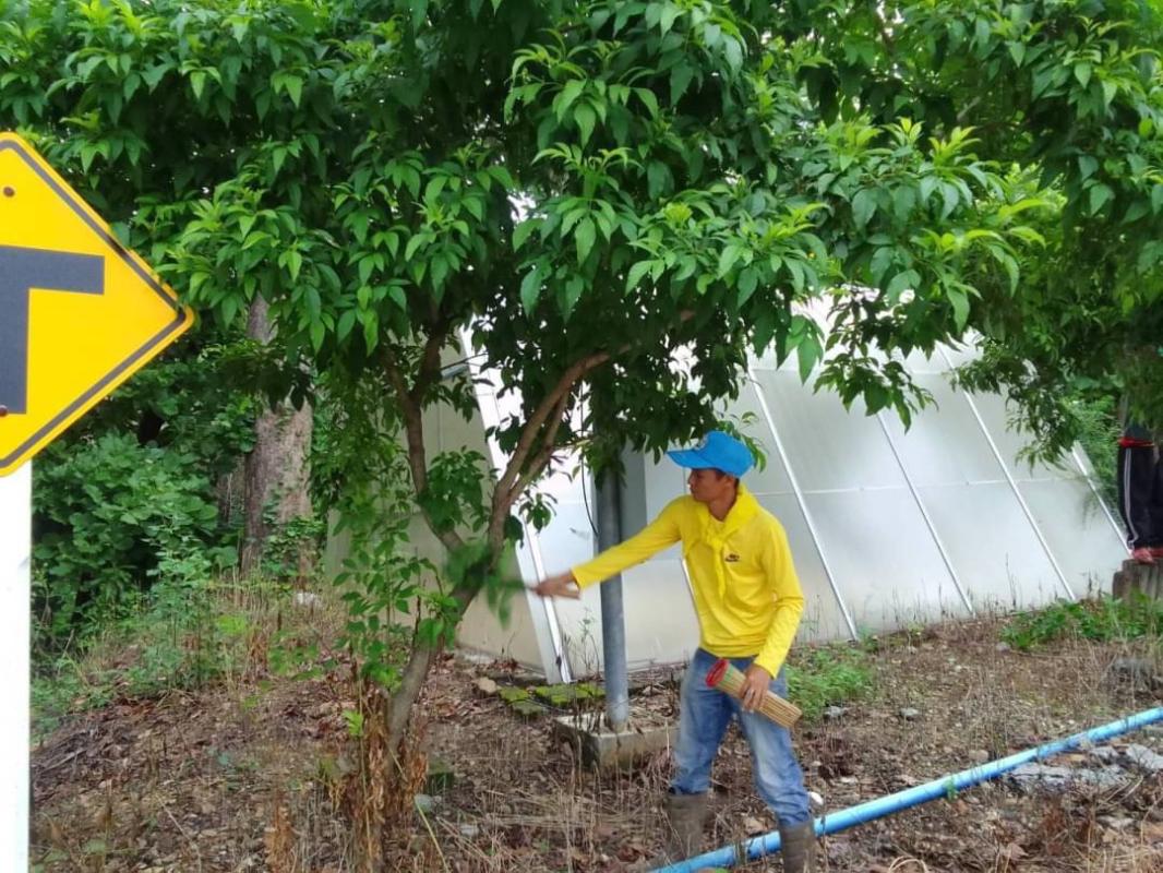 28/7/66 จนท.รพ.สต.บ้านสันป่าไร่ ร่วมกับผู้นำชุมชนและประชาชน หมู่ที่ 3 บ้านป่าไร่เหนือ จัดกิจกรรมพัฒนาสิ่งแวดล้อมในหมู่บ้าน เนื่องในวันเฉลิมพระชนมพรรษา พระบาทสมเด็จพระเจ้าอยู่หัว รัชกาลที่ 10