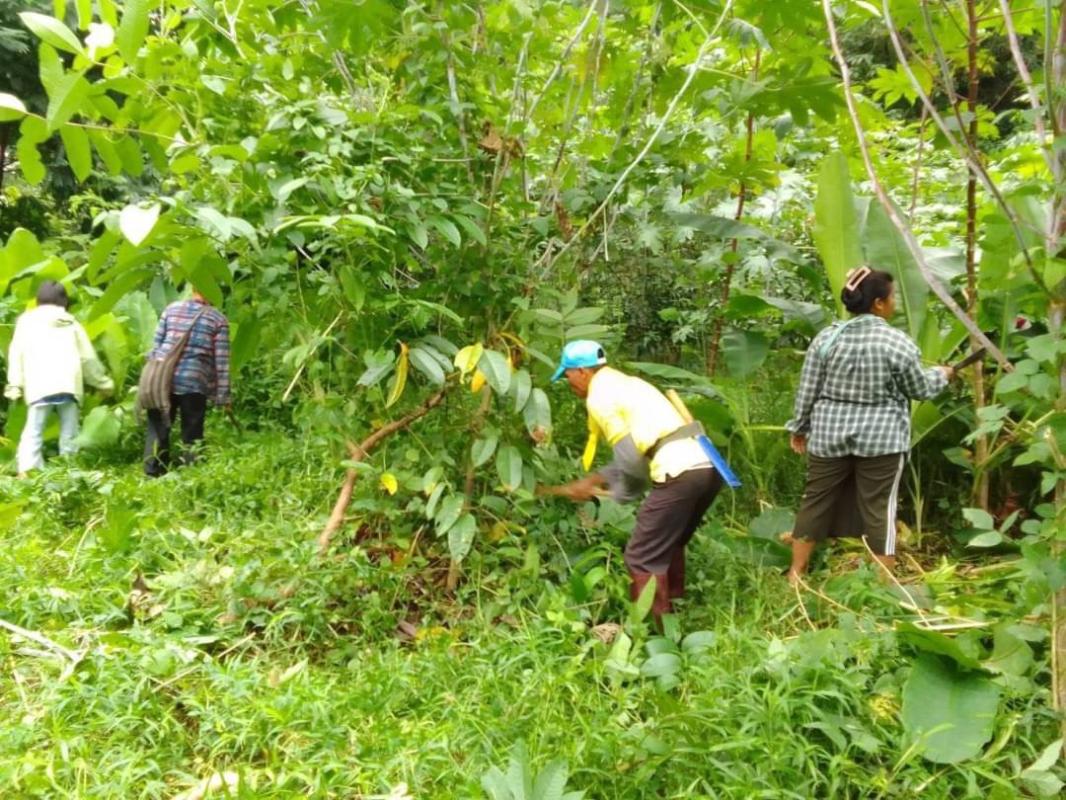 28/7/66 จนท.รพ.สต.บ้านสันป่าไร่ ร่วมกับผู้นำชุมชนและประชาชน หมู่ที่ 3 บ้านป่าไร่เหนือ จัดกิจกรรมพัฒนาสิ่งแวดล้อมในหมู่บ้าน เนื่องในวันเฉลิมพระชนมพรรษา พระบาทสมเด็จพระเจ้าอยู่หัว รัชกาลที่ 10