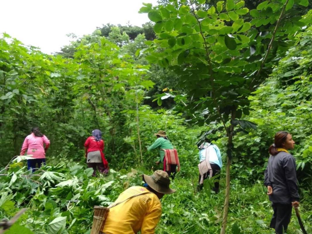 28/7/66 จนท.รพ.สต.บ้านสันป่าไร่ ร่วมกับผู้นำชุมชนและประชาชน หมู่ที่ 3 บ้านป่าไร่เหนือ จัดกิจกรรมพัฒนาสิ่งแวดล้อมในหมู่บ้าน เนื่องในวันเฉลิมพระชนมพรรษา พระบาทสมเด็จพระเจ้าอยู่หัว รัชกาลที่ 10