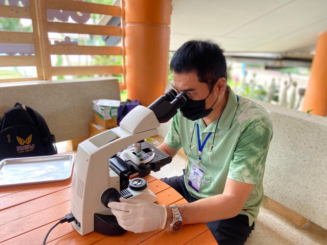 16-18866 จนท.รพ.สต.บ้านสันป่าไร่ ให้ความรู้เกี่ยวกับโรคหนอนพยาธิและตรวจอุจจาระเพื่อค้นหาไข่พยาธิในพื้นที่โครงการพระราชดำริโรงเรียนจาตุรจินดา จำนวน 112 คนพบไข่พยาธิไส้เดือน 2 คน แส้ม้า 4 คนและโรงเรียนบ้านสี่หลัง จำนวน 31 คน พบไข่พยาธิไส้เดือน 1 คน