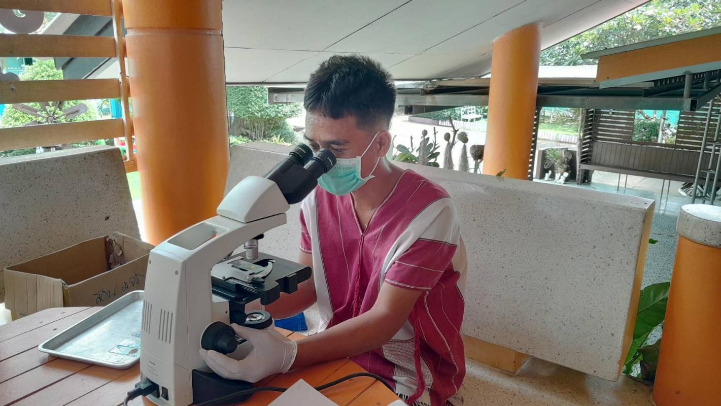 16-18866 จนท.รพ.สต.บ้านสันป่าไร่ ให้ความรู้เกี่ยวกับโรคหนอนพยาธิและตรวจอุจจาระเพื่อค้นหาไข่พยาธิในพื้นที่โครงการพระราชดำริโรงเรียนจาตุรจินดา จำนวน 112 คนพบไข่พยาธิไส้เดือน 2 คน แส้ม้า 4 คนและโรงเรียนบ้านสี่หลัง จำนวน 31 คน พบไข่พยาธิไส้เดือน 1 คน