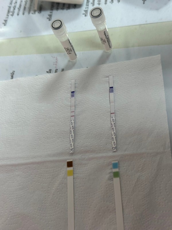 9 ก.พ.2567 รพ.สต.บ้านสันป่าไร่ ทดสอบความชำนาญทางห้องปฏิบัติการหน่วยบริการปฐมภูมิ ครั้งที่ 1/2567 ศูนย์วิทยาศาสตร์การแพทย์ที่ 2 พิษณุโลก พร้อมทั้งบันทึกผลทางเว็ปไซต์กองทดสอบความชำนาญ