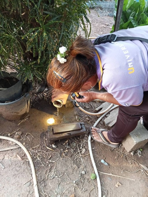 18/พ.ค./67 รพ.สต.บ้านสันป่าไร่ร่วมกับอาสาสมัครสาธารณสุขหมู่ที่2,3และ5 รณรงค์ทำลายแหล่งเพาะพันธ์ลูกน้ำยุงลายทางกายภาพและใส่ทรายอะเบทในภาชนะที่เป็นน้ำใช้ ในส่วนภาชนะที่พบลูกน้ำยุงลายจะทำลายโดยวิธีเทน้ำทิ้ง