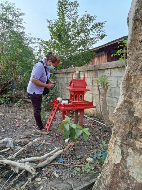 18/พ.ค./67 รพ.สต.บ้านสันป่าไร่ร่วมกับอาสาสมัครสาธารณสุขหมู่ที่2,3และ5 รณรงค์ทำลายแหล่งเพาะพันธ์ลูกน้ำยุงลายทางกายภาพและใส่ทรายอะเบทในภาชนะที่เป็นน้ำใช้ ในส่วนภาชนะที่พบลูกน้ำยุงลายจะทำลายโดยวิธีเทน้ำทิ้ง