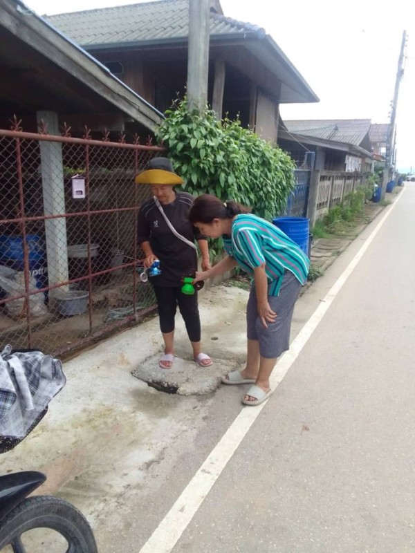 10 มิ.ย. 67 รพ.สต.บ้านสันป่าไร่ร่วมกับอาสาสมัครสาธารณสุขหมู่ที่2,3และ5 รณรงค์สำรวจและทำลายแหล่งเพาะพันธ์ลูกน้ำยุงลาย รอบที่ 1 ประจำเดือน มิถุนายน 2567
