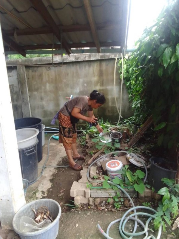 10 มิ.ย. 67 รพ.สต.บ้านสันป่าไร่ร่วมกับอาสาสมัครสาธารณสุขหมู่ที่2,3และ5 รณรงค์สำรวจและทำลายแหล่งเพาะพันธ์ลูกน้ำยุงลาย รอบที่ 1 ประจำเดือน มิถุนายน 2567