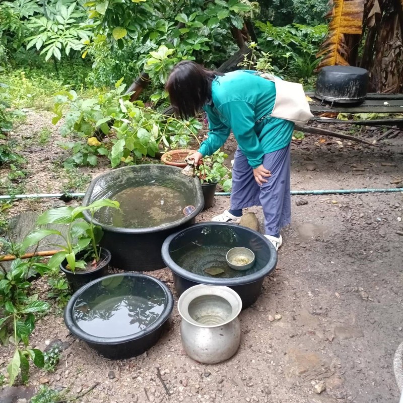 28 ก.ค.67 อาสาสมัครสาธารณสุขหมู่ที่2,3และ5 ร่วมกับผู้นำชุมชนและประชาชน รณรงค์สำรวจและทำลายแหล่งเพาะพันธ์ลูกน้ำยุงลายและปรับปรุงสภาพสิ่งแวดล้อมภายในหมู่บ้านเนื่องในวันเฉลิมพระชนมพรรษาพระบาทสมเด็จพระเจ้าอยู่หัว รัชกาลที่ 10