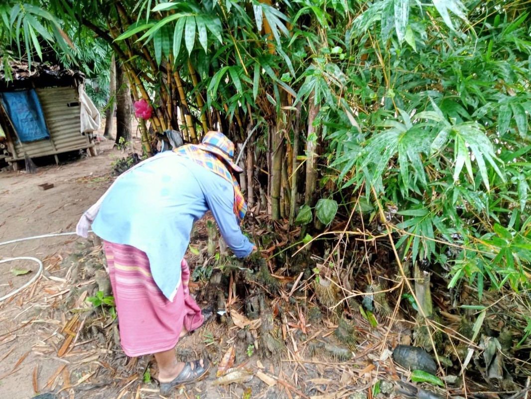 12 ส.ค. 67 จนท.รพ.สต.บ้านสันป่าไร่ร่วมกับผู้นำชุมชนและประชาชน ม.3บ้านป่าไร่เหนือ ร่วมกิจกรรมจิตอาสา แม่ของแผ่นดิน รณรงค์สำรวจและทำลายแหล่งเพาะพันธ์ลูกน้ำยุงลาย เนื่องในวันแม่แห่งชาติ