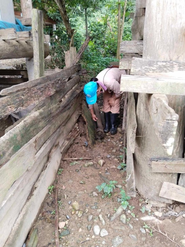 12 ส.ค. 67 จนท.รพ.สต.บ้านสันป่าไร่ร่วมกับผู้นำชุมชนและประชาชน ม.3บ้านป่าไร่เหนือ ร่วมกิจกรรมจิตอาสา แม่ของแผ่นดิน รณรงค์สำรวจและทำลายแหล่งเพาะพันธ์ลูกน้ำยุงลาย เนื่องในวันแม่แห่งชาติ