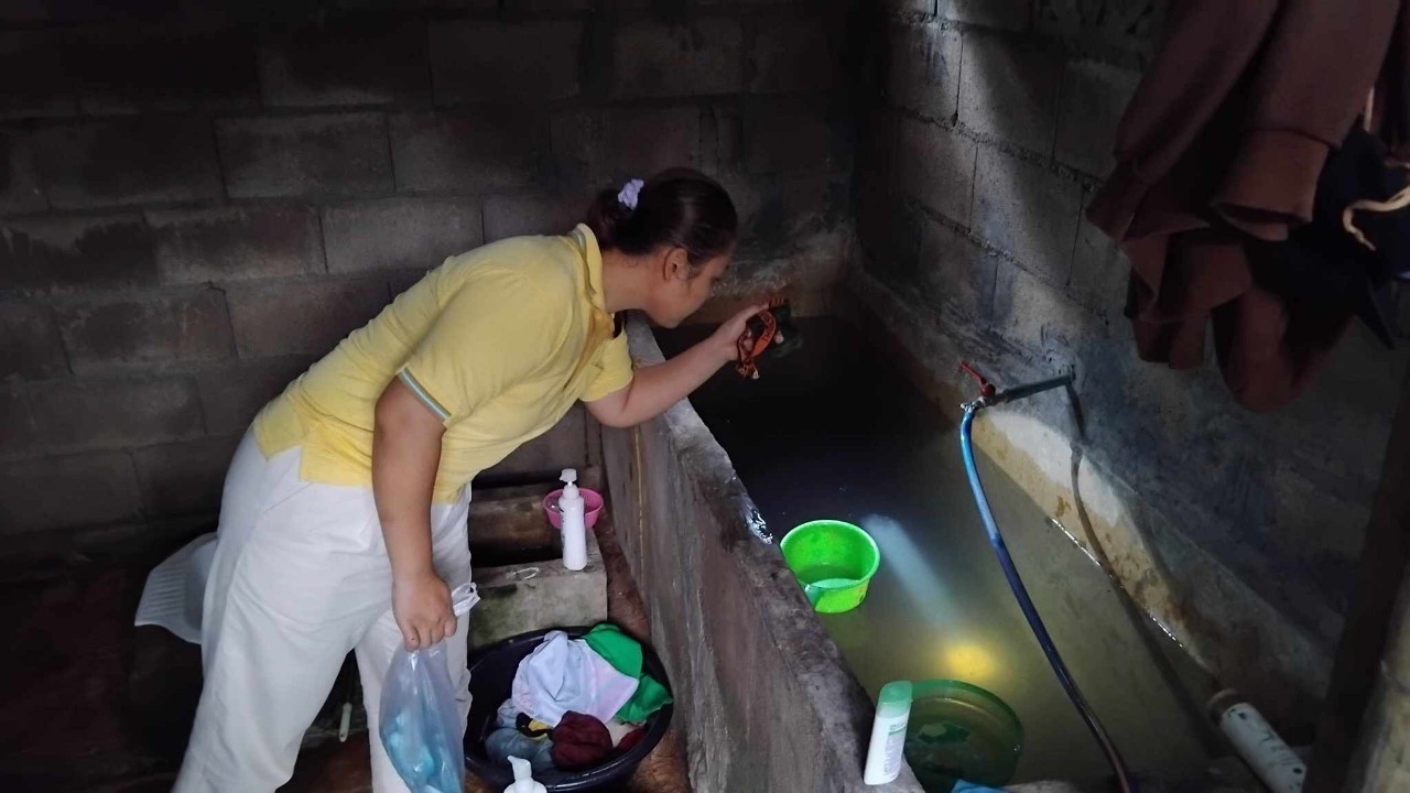 12 ส.ค. 67 รพ.สต.บ้านสันป่าไร่ร่วมกับอาสาสมัครสาธารณสุขและประชาชน ม.2บ้านตีนธาตุ ร่วมกิจกรรมจิตอาสา แม่ของแผ่นดิน รณรงค์สำรวจและทำลายแหล่งเพาะพันธ์ลูกน้ำยุงลาย เนื่องในวันแม่แห่งชาติ