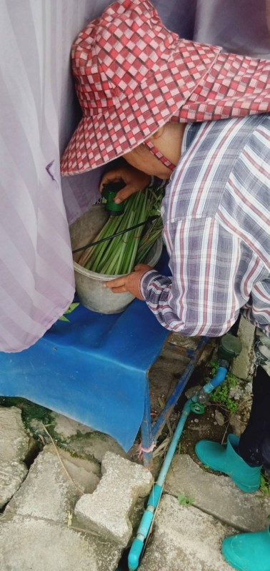 28 ส.ค. 67 เวลา 14.00 น. นายอดิศร เทียนพานิช ผอ.รพ.สต.บ้านสันป่าไร่ และนางเสาร์แก้ว อ่วมพิทยา เจ้าพนักงานสาธารณสุข รพ.สต.บ้านสันป่าไร่ ร่วมกับอาสาสมัครสาธารณสุข ม.5 บ้านสันป่าไร่และอบต.พระธาตุ ควบคุมโรคไข้เลือดออก รอบแรก 100 เมตร รอบบ้านผู้ป่วยเคสนางคำนวน