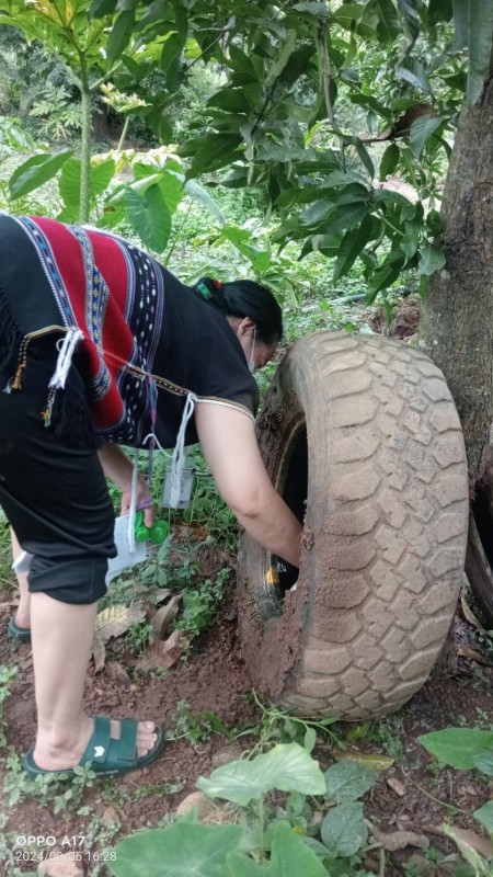 6 ก.ย. 67 เวลา 17.00 น. นางเสาร์แก้ว อ่วมพิทยา เจ้าพนักงานสาธารณสุข รพ.สต.บ้านสันป่าไร่ ร่วมกับอสม.ม.3 บ้านจบปิ และอบต.พระธาตุ ควบคุมโรคไข้เลือดออก รอบที่ 1 เคส R/O DF ดญ.วิพาวี ติ๊บตา