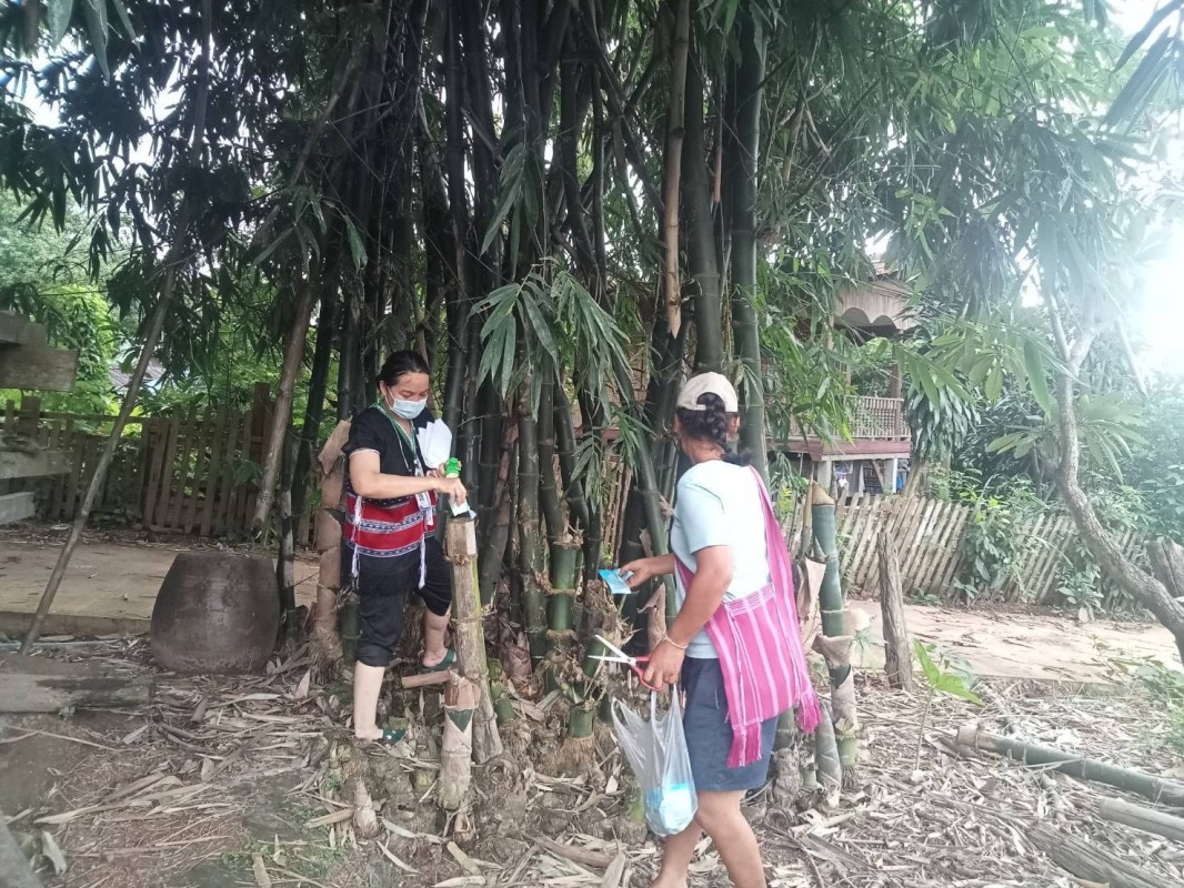 6 ก.ย. 67 เวลา 17.00 น. นางเสาร์แก้ว อ่วมพิทยา เจ้าพนักงานสาธารณสุข รพ.สต.บ้านสันป่าไร่ ร่วมกับอสม.ม.3 บ้านจบปิ และอบต.พระธาตุ ควบคุมโรคไข้เลือดออก รอบที่ 1 เคส R/O DF ดญ.วิพาวี ติ๊บตา