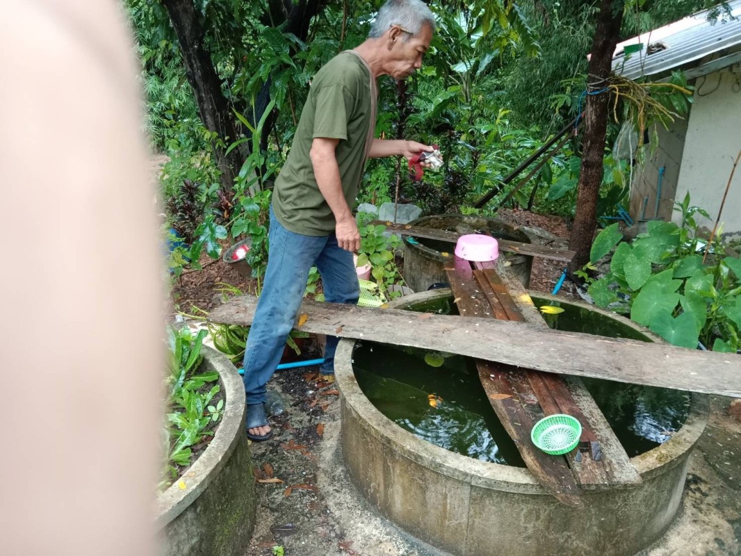 9 ก.ย. 67 อาสาสมัครสาธารณสุขหมู่ที่2,3และ5 รณรงค์สำรวจและทำลายแหล่งเพาะพันธ์ลูกน้ำยุงลาย รอบที่ 1 ประจำเดือน กันยายน 67