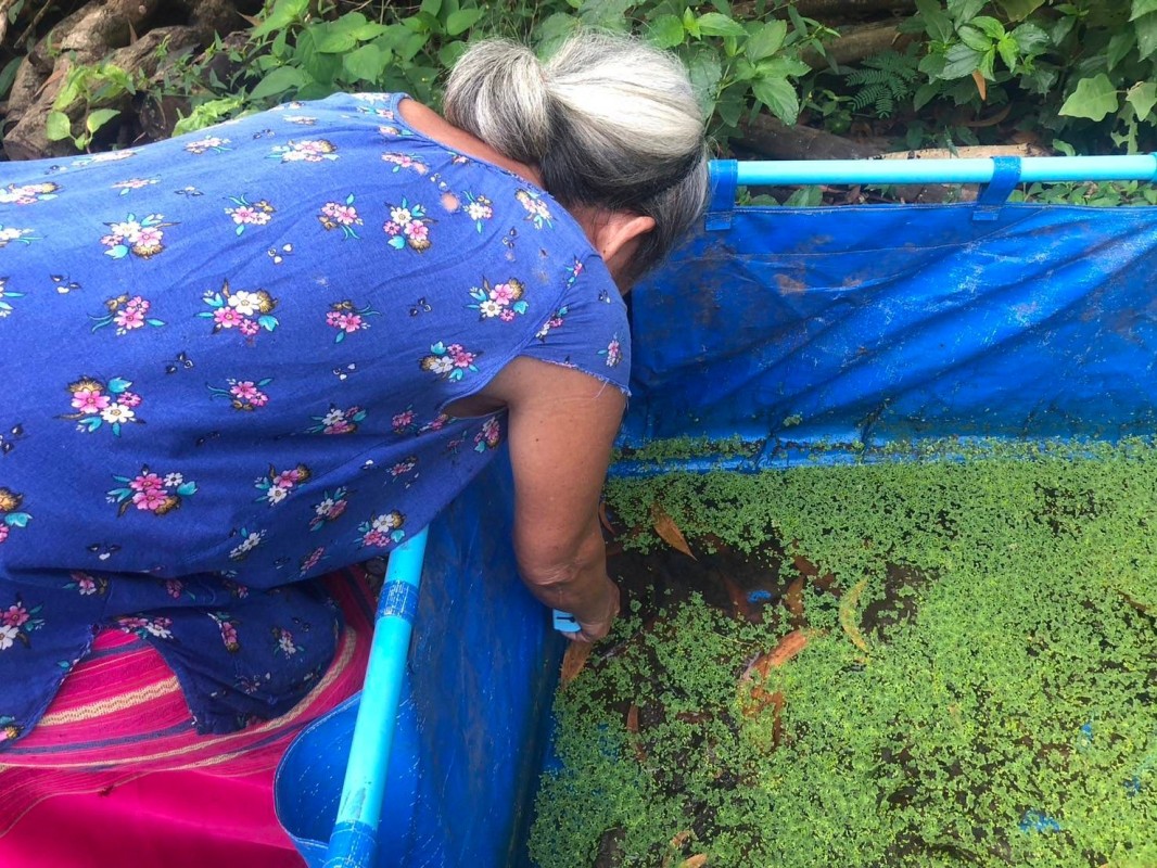 18 ตค. 67 จนท.รพ.สต.บ้านสันป่าไร่ร่วมกับอาสาสมัครสาธารณสุขหมู่ที่ 2 บ้านตีนธาตุ, หมู่ที่3 บ้านป่าไร่เหนือและหมู่ที่ 5 บ้านสันป่าไร่ รณรงค์สำรวจและทำลายแหล่งเพาะพันธ์ลูกน้ำยุงลาย รอบที่ 2 เดือนตุลาคม 67