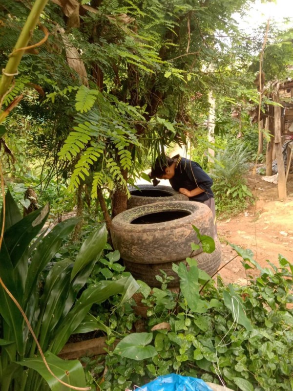 18 ตค. 67 จนท.รพ.สต.บ้านสันป่าไร่ร่วมกับอาสาสมัครสาธารณสุขหมู่ที่ 2 บ้านตีนธาตุ, หมู่ที่3 บ้านป่าไร่เหนือและหมู่ที่ 5 บ้านสันป่าไร่ รณรงค์สำรวจและทำลายแหล่งเพาะพันธ์ลูกน้ำยุงลาย รอบที่ 2 เดือนตุลาคม 67