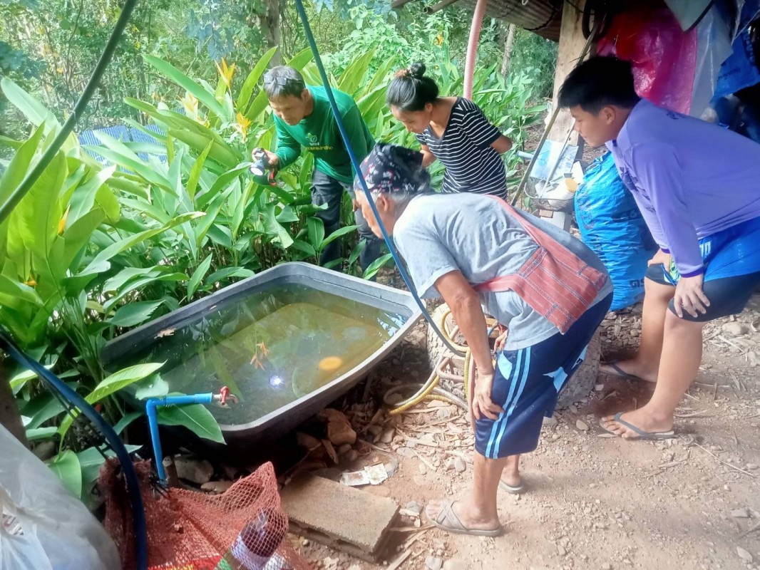 9 พ.ย.67 รพ.สต.บ้านสันป่าไร่ร่วมกับอาสาสมัครสาธารณสุขหมู่ที่2,3และ5 สำรวจและทำลายแหล่งเพาะพันธ์ลูกน้ำยุงลาน รอบที่ 1 เดือนพฤศจิกายน