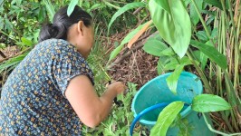 26 พฤษภาคม 2568 รพ.สต.บ้านสันป่าไร่ร่วมกับอาสาสมัครสาธารณสุข หมู่ที่ 3 บ้านป่าไร่เหนือ สำรวจและทำลายแหล่งเพาะพันธ์ลูกน้ำยุงลาย 100 เมตร รอบบ้านงานศพ จำนวน 11 หลัง จำนวนภาชนะทั้งหมด 87 ชิ้น พบ 2 ชิ้น ภาชนะที่พบทำลายทิ้งเรียบร้อยแล้ว