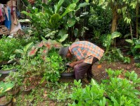 9 กรกฎาคม 2568 รพ.สต.บ้านสันป่าไร่ร่วมกับอาสาสมัครสาธารณสุข หมู่ที่2,3,5,6และ7 รณรงค์สำรวจและทำลายแหล่งเพาะพันธ์ลูกน้ำยุงลาย รอบที่ 1 เดือนกรกฎาคม 2568