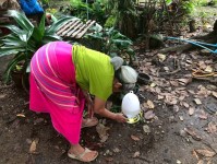 18 กรกฎาคม 2568 รพ.สต.บ้านสันป่าไร่ร่วมกับอาสาสมัครสาธารณสุขหมู่ที่2,3,5,6และ7 สำรวจและทำลายแหล่งเพาะพันธ์ลูกน้ำยุงลาย รอบที่ 2 เดือน กรกฎาคม 2568