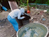 15 สิงหาคม 2568 นางเสาร์แก้ว อ่วมพิทยา เจ้าพนักงานสาธารณสุข รพ.สต.บ้านสันป่าไร่ ร่วมกับ อาสาสมัครสาธารณสุข หมู่ที่ 3 บ้านป่าไร่เหนือ ควบคุมโรคไข้เลือดออก รอบที่ 1 เคสนส.พรนภา วาจาอุทัย สำรวจและทำลายแหล่งเพาะพันธ์ลูกน้ำยุงลาย 200 เมตร รอบบ้านผู้ป่วย จำนวน 