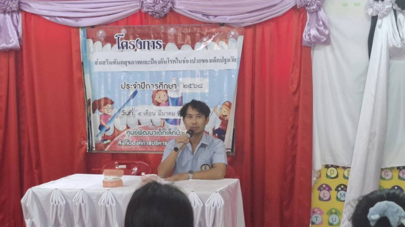 แมว4
