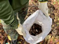 นายณัฐวุฒิ ทวีเกื้อกูลกิจ นายกองค์การบริหารส่วนจังหวัดตาก ในฐานะผู้อำนวยการอุทยานธรณีไม้กลายเป็นหินตากพร้อมด้วย ว่าที่ ดร.ฑีฆะพล ทวีเกื้อกูลกิจ รองนายกองค์การบริหารส่วนจังหวัดตาก นำเจ้าหน้าที่ ร่วมดำเนินการ จัดเรียงหินกรวด ในบริเวณ ไม้กลายเป็นหิน ต้นที่ 1