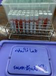 13/3/66 รพ.สต.บ้านสันป่าไร่ รณรงค์ตรวจคัดกรองมะเร็งปากมดลูก ด้วยวิธี HPV self sampling ระหว่างวันที่ 13-16 มีนาคม 2566 (วันแรก มีผู้มารับบริการ 31 ราย)