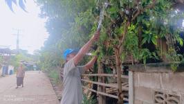 5/6/66 จนท.รพ.สต.บ้านสันป่าไร่ ร่วมกับผู้นำชุมชน ชาวบ้านและอาสาสมัครสาธารณสุขหมู่ที่ 2 บ้านตีนธาตุ หมู่ที่ 3 บ้านป่าไร่เหนือและหมู่ที่ 5 บ้านสันป่าไร่ พัฒนาสิ่งแวดล้อมภายในชุมชนและรณรงค์สำรวจและทำลายแหล่งเพาะพันธ์ลูกน้ำยุงลาย เนื่องในวันสิ่งแวดล้อมโลก