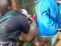 5/6/66 จนท.รพ.สต.บ้านสันป่าไร่ ร่วมกับผู้นำชุมชน ชาวบ้านและอาสาสมัครสาธารณสุขหมู่ที่ 2 บ้านตีนธาตุ หมู่ที่ 3 บ้านป่าไร่เหนือและหมู่ที่ 5 บ้านสันป่าไร่ พัฒนาสิ่งแวดล้อมภายในชุมชนและรณรงค์สำรวจและทำลายแหล่งเพาะพันธ์ลูกน้ำยุงลาย เนื่องในวันสิ่งแวดล้อมโลก