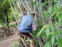 23/6/66 จนท.รพ.สต.บ้านสันป่าไร่ร่วมกับอสม.ม.3บ้านป่าไร่เหนือ ควบคุมโรครอบ2 เคสนางจ้าวา ภูมิพระธาตุ