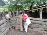 25/6/66 จนท.รพ.สต.บ้านสันป่าไร่ร่วมกับอสม.ม.3 บ้านจบปิ ควบคุมโรคไข้เลือดออก รอบ 2 เคสดช.ณัฐคุณ พงษ์ไทย