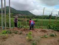 25/6/66 จนท.รพ.สต.บ้านสันป่าไร่ร่วมกับอสม.ม.3 บ้านจบปิ ควบคุมโรคไข้เลือดออก รอบ 2 เคสดช.ณัฐคุณ พงษ์ไทย