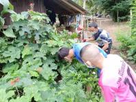 10/7/66 จนท.รพ.สต.บ้านสันป่าไร่ ร่วมกับอสม.ม.2บ้านตีนธาตุ ควบคุมโรคไข้เลือดออก รอบแรกเคส นส.ชนิดา เจนชลธี เคสผู้ป่วยอำเภอแม่สอดกลับมารักษาที่รพ.แม่ระมาด