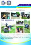 รณรงค์กำจัดลูกน้ำยุงลาย