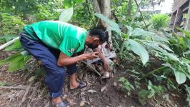 25/7/66 จนท.รพ.สต.บ้านสันป่าไร่ร่วมกับอสม.ม.5บ้านสันป่าไร่ ควบคุมโรคไข้เลือดออกรอบที่1เคสนางซานดาอ่อง