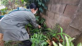 25/7/66 จนท.รพ.สต.บ้านสันป่าไร่ร่วมกับอสม.ม.5บ้านสันป่าไร่ ควบคุมโรคไข้เลือดออกรอบที่1เคสนางซานดาอ่อง