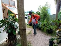 28/7/66 จนท.รพ.สต.บ้านสันป่าไร่ร่วมกับผู้นำชุมชน อสม. ,ประชาชนและชาวต่างชาติในพื้นที่หมู่ที่ 5 บ้านสันป่าไร่ รวมทั้งส่วนราชการในพื้นที่ ( อบต.พระธาตุและตชด.) จัดกิจกรรมจิตอาสา ป้องกันโรคไข้เลือดออก เนื่องในวันเฉลิมพระชนมพรรษา พระบาทสมเด็จพระเจ้าอยู่หัว รั