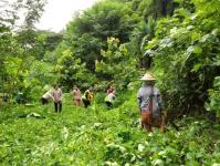 28/7/66 จนท.รพ.สต.บ้านสันป่าไร่ ร่วมกับผู้นำชุมชนและประชาชน หมู่ที่ 3 บ้านป่าไร่เหนือ จัดกิจกรรมพัฒนาสิ่งแวดล้อมในหมู่บ้าน เนื่องในวันเฉลิมพระชนมพรรษา พระบาทสมเด็จพระเจ้าอยู่หัว รัชกาลที่ 10