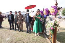 รองนายกองค์การบริหารส่วนจังหวัดตากเป็นประธาน เปิดโครงการแข่งขันกีฬา-กรีฑานักเรียน เยาวชน หรือประชาชนระดับอำเภอ ประจำปีงบประมาณ พ.ศ. 2567 ครั้งที่3 อำเภอท่าสองยาง 