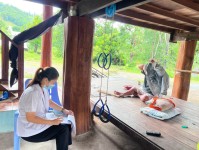 25 ก.ค. 67 จนท.รพ.สต.บ้านสันป่าไร่ ร่วมกับนักกายภาพ และผู้รับผิดชอบงาน Palliative Care รพ.แม่ระมาด ลงพื้นที่เยี่ยมบ้านและติดตามอาการ ผู้ป่วยโรคหลอดเลือดสมอง (Stroke) จำนวน 3 ราย ผู้ป่วยติดเตียง จำนวน 1 ราย ผู้ป่วยโรคมะเร็งตับ จำนวน 1 ราย ผู้ป่วยผ่าตัดหมอน