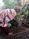 9 ต.ค.67 อาสาสมัครสาธารณสุข หมู่ที่ 2 บ้านตีนธาตุ หมู่ที่ 3 บ้านป่าไร่เหนือและหมู่ที่ 5 บ้านสันป่าไร่ รณรงค์สำรวจและทำลายแหล่งเพาะพันธ์ลูกน้ำยุงลาย รอบแรกเดือนตุลาคม 67