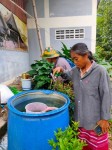 9 ต.ค.67 อาสาสมัครสาธารณสุข หมู่ที่ 2 บ้านตีนธาตุ หมู่ที่ 3 บ้านป่าไร่เหนือและหมู่ที่ 5 บ้านสันป่าไร่ รณรงค์สำรวจและทำลายแหล่งเพาะพันธ์ลูกน้ำยุงลาย รอบแรกเดือนตุลาคม 67