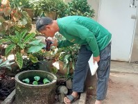 9 พ.ย.67 รพ.สต.บ้านสันป่าไร่ร่วมกับอาสาสมัครสาธารณสุขหมู่ที่2,3และ5 สำรวจและทำลายแหล่งเพาะพันธ์ลูกน้ำยุงลาน รอบที่ 1 เดือนพฤศจิกายน