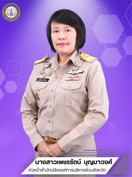 นางสาวเพชรรัตน์ บุญมาวงศ์