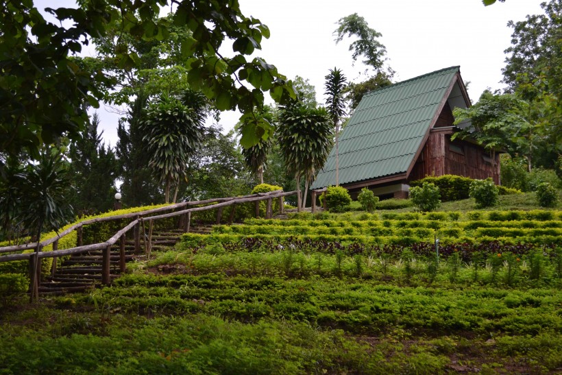 สวนป่าแม่ละเมา(องค์กรอุตสาหกรรมป่าไม้)