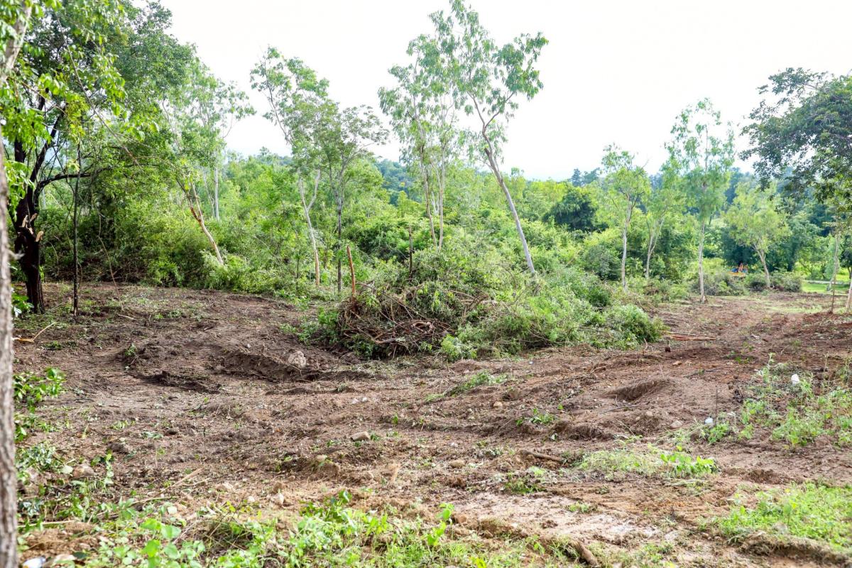 นายกจอย (นายก อบจ.ตาก) ลงพื้นที่ตรวจติดตามการทำงานของเครื่องจักร งานปรับปรุงภูมิทัศน์ บริเวณสุสาน บ้านดงยาง ม.1 ต.ทุ่งกระเชาะ อ.บ้านตาก 