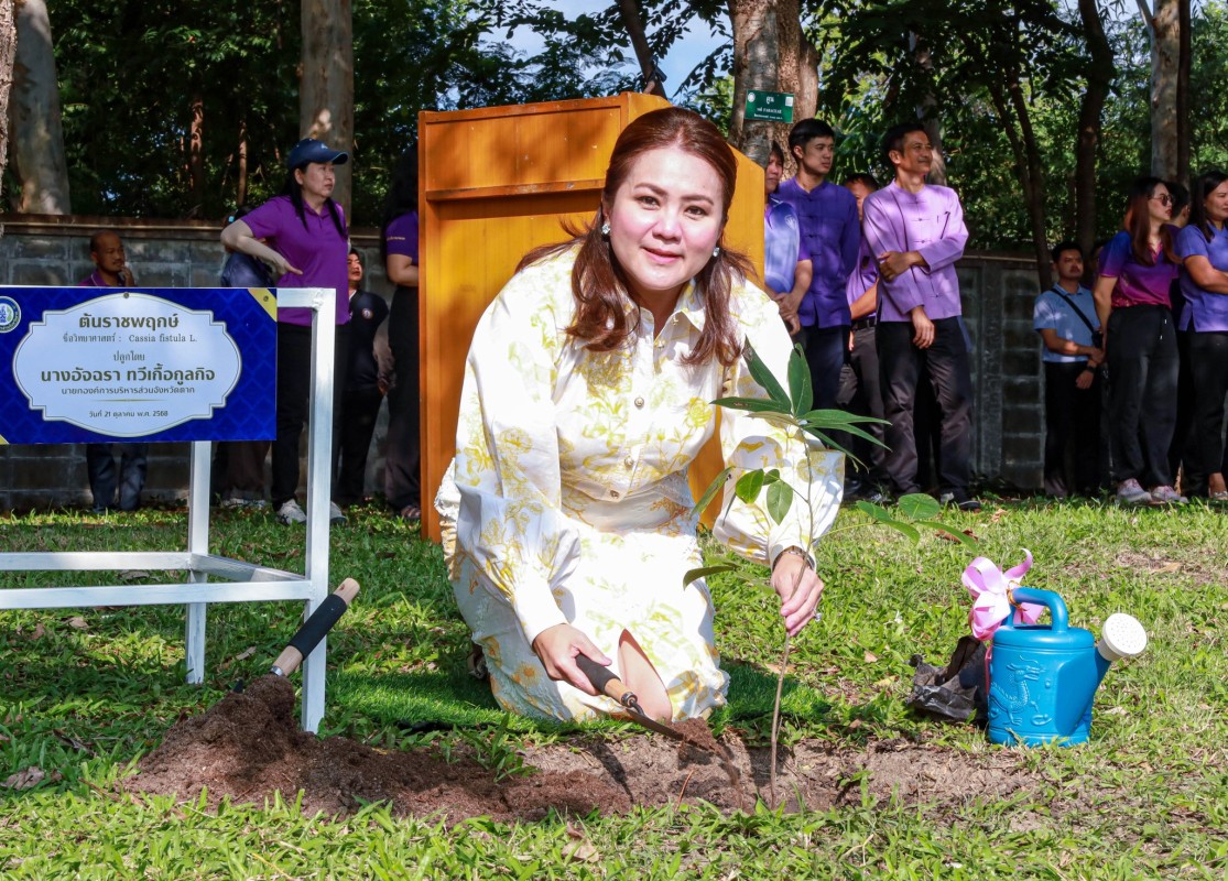 565898254_1256332453205616_4399695340998335376_n