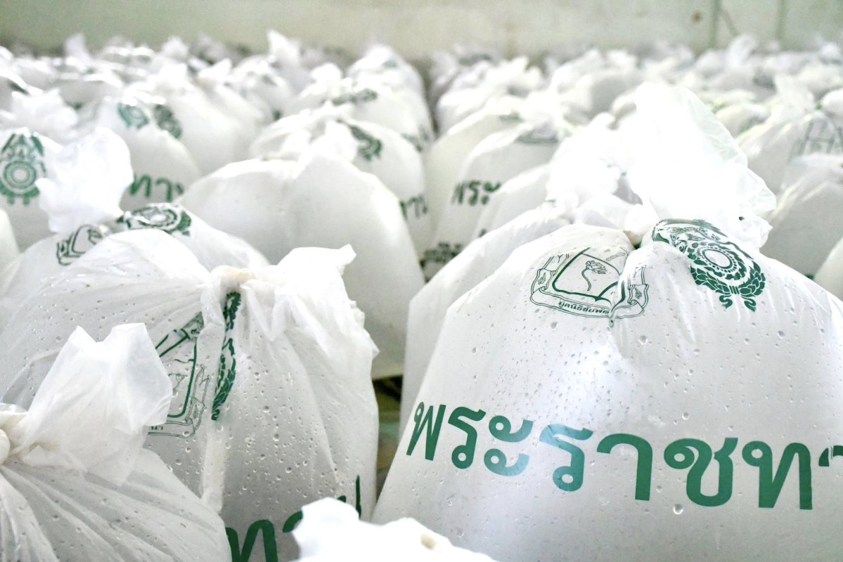 573294653_1264609152377946_7935978519670101791_n